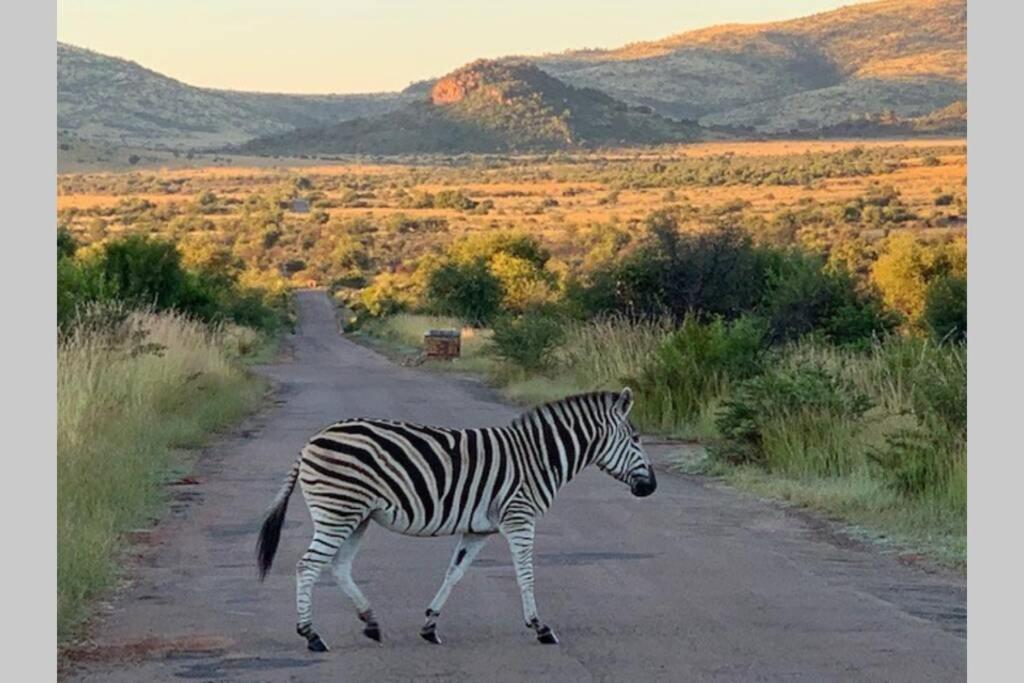 Rhino House With 3 Bedrooms Next To Pilanesberg And Sun City Mogwase ภายนอก รูปภาพ