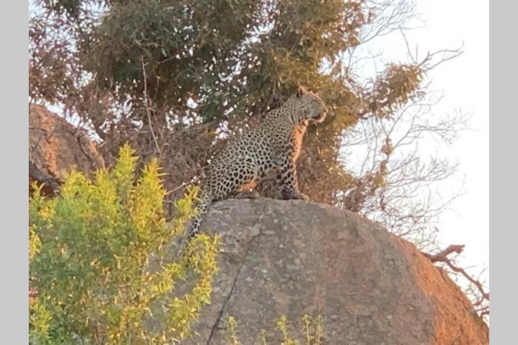 Rhino House With 3 Bedrooms Next To Pilanesberg And Sun City Mogwase ภายนอก รูปภาพ